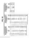 Fig. 14 - DNA element having the activity of enhancing foreign gene expression