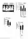 Fig. 45 - CAPSID-MODIFIED, RAAV3 VECTOR COMPOSITIONS AND USES IN GENE THERAPY OF HUMAN LIVER CANCER