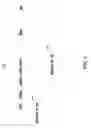 Fig. 02 - Expression in insect cells of genes with overlapping open reading frames, methods and compositions therefor
