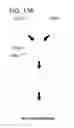 Fig. 23 - RNA-guided gene drives