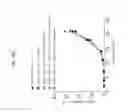 Fig. 32 - Enhancing endonuclease based gene editing in primary cells