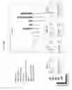 Fig. 35 - Enhancing endonuclease based gene editing in primary cells