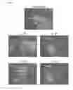 Fig. 09 - Methods and products for transfecting cells