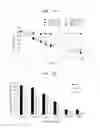 Fig. 02 - Yeast cell having acid tolerance, method of preparing yeast cell and use thereof