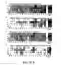 Fig. 05 - Nuclease profiling system