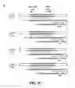 Fig. 08 - Nuclease profiling system