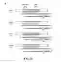 Fig. 09 - Nuclease profiling system