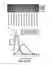 Fig. 11 - Nuclease profiling system
