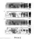 Fig. 15 - Nuclease profiling system