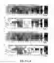 Fig. 17 - Nuclease profiling system