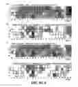 Fig. 19 - Nuclease profiling system