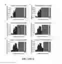Fig. 24 - Nuclease profiling system