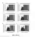 Fig. 28 - Nuclease profiling system