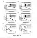 Fig. 31 - Nuclease profiling system