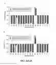 Fig. 49 - Nuclease profiling system