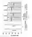 Fig. 03 - Methods of producing sterilized diagnostic test elements