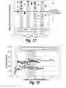 Fig. 22 - NUCLEIC ACID DETECTION AND QUANTIFICATION BY POST-HYBRIDIZATION LABELING AND UNIVERSAL ENCODING