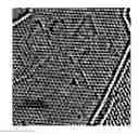Fig. 01 - Methods of generation of pores in sheets of hexagonal boron nitride and applications thereof