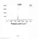Fig. 05 - Methods of generation of pores in sheets of hexagonal boron nitride and applications thereof