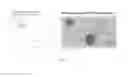 Fig. 09 - NANOZYME IMMUNOCHROMATOGRAPHIC DETECTION METHOD