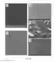 Fig. 06 - Vapour deposition method for fabricating lithium-containing thin film layered structures