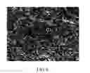 Fig. 07 - STRESS-BUFFERING SILICON-CONTAINING COMPOSITE PARTICLE FOR A BATTERY ANODE MATERIAL AND THE METHOD OF PREPARING THE SAME
