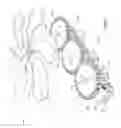 Fig. 07 - Planar energy conversion device