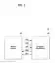 Fig. 02 - Miscorrection avoidance for turbo product codes