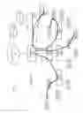 Fig. 16 - Localized traffic flow management in a wireless network