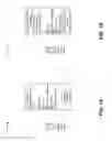 Fig. 02 - Multimedia mail service