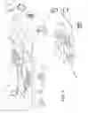 Fig. 08 - Color space compression