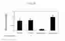 Fig. 07 - Animal model and cell model developing amyotrophic lateral sclerosis