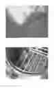 Fig. 09 - USING WOLFFIA GENUS PLANT MATERIAL FOR PREPARING DOUGH