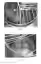 Fig. 10 - USING WOLFFIA GENUS PLANT MATERIAL FOR PREPARING DOUGH