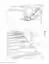 Fig. 06 - Automated poultry hanging system and method