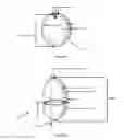 Fig. 02 - Apparatus to scrape coconut