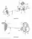 Fig. 83 - Apparatus to scrape coconut