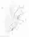 Fig. 07 - WASTE RECEPTACLE