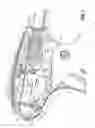 Fig. 06 - Endoscopic surgical clip applier