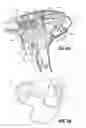 Fig. 08 - Endoscopic surgical clip applier