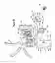 Fig. 21 - Arcuate fixation member