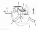 Fig. 22 - Arcuate fixation member