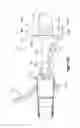 Fig. 29 - Arcuate fixation member