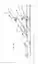 Fig. 09 - Active compression decompression and upper body elevation system