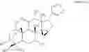 Fig. 07 - Ceramide production enhancer and moisturizer