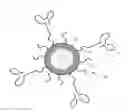 Fig. 01 - Drug loaded polymeric nanoparticles and methods of making and using same
