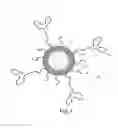 Fig. 02 - Drug loaded polymeric nanoparticles and methods of making and using same