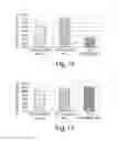 Fig. 16 - Drug loaded polymeric nanoparticles and methods of making and using same