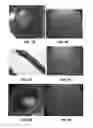 Fig. 07 - Materials and methods for delivering compositions to selected tissues