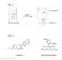 Fig. 02 - Poly(vinyl benzoate) nanoparticles for molecular delivery